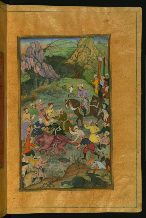 Babur (Ẓahīr-ud-Dīn Muḥammad), the first Mughal emperor (r. 1526-1530), hunts rhinoceros with his co