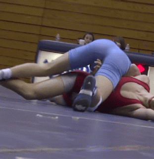 Why We Wrestle