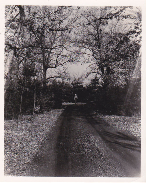 Man Standing at the End of a Tree-Lined Road, photographer and date not given