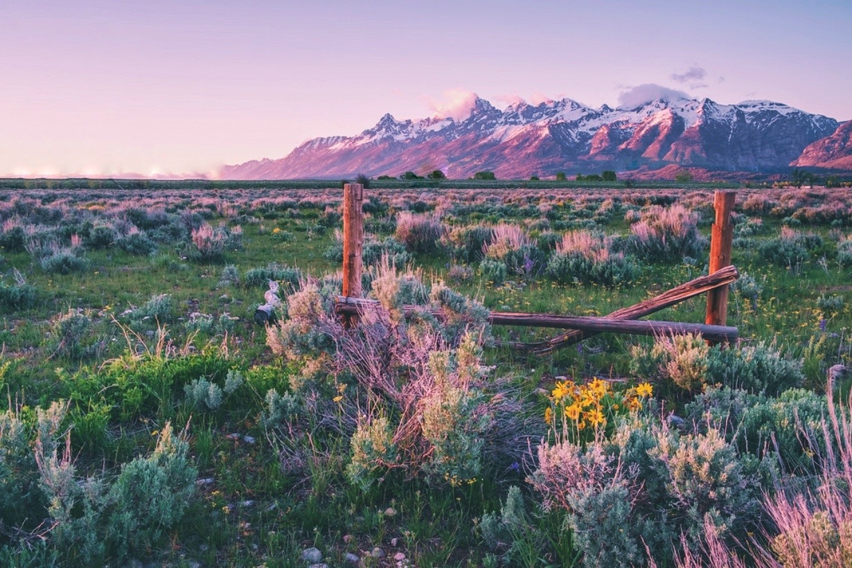 archae-heart:  Montana sunrise  