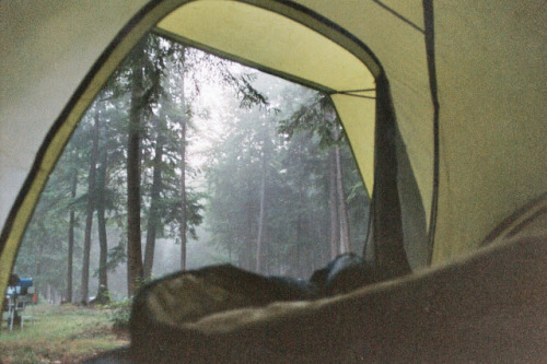 Camping photos via The Dainty Squid.