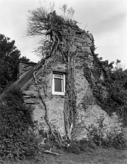  Brad Temkin Abandoned House, Scart Waterfall, Co. Cork, Ireland, 1992 