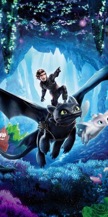 How to Train Your Dragon: The Hidden World, hiccup, toothless, dragon ride, 1080x2160 wallpaper @wal