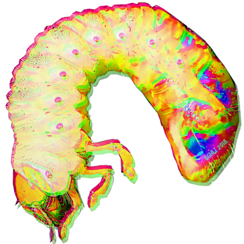 ughlibug: Transparent grub icons for your squad!!!    Feel free to use, credit would be appreciated!