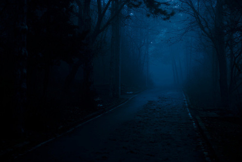 lonelotus:  ☯ 