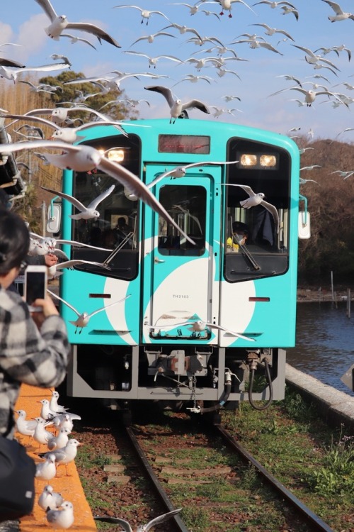 先週天竜浜名湖鉄道（天浜線）で行われたキヤノンEOS学園山﨑友也先生の鉄道写真教室に参加しました。 ゆりかもめが集まる浜名湖佐久米駅。祭りみたいな賑わいで… 列車を撮っているのか、ゆりか