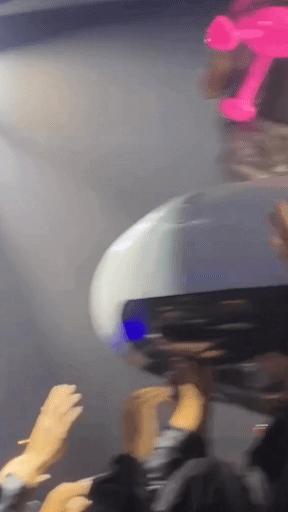 🦩 Brussels | 05.08.2023 | 🎥 By Haifischstein