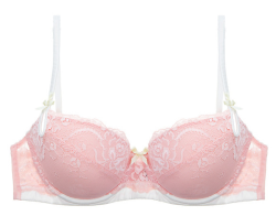 placedeladentelle:  Zoe by Heidi Klum Intimates