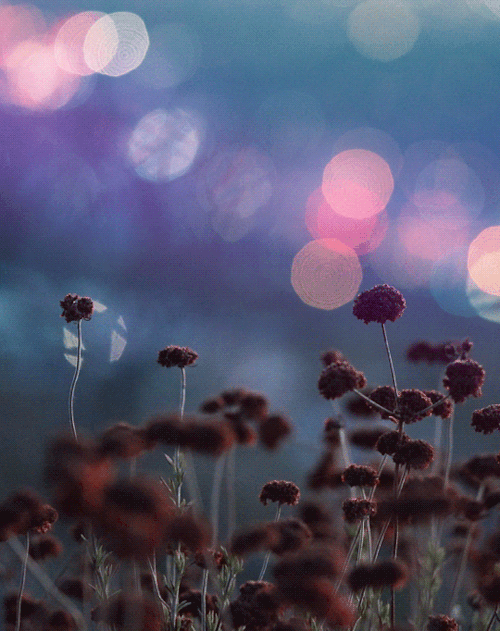anthony-samaniego:city sootheinstagram