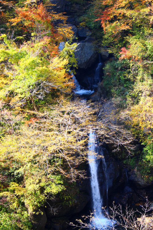 20171105（日,sun）サコサガ滝（Sakosaga waterfall）