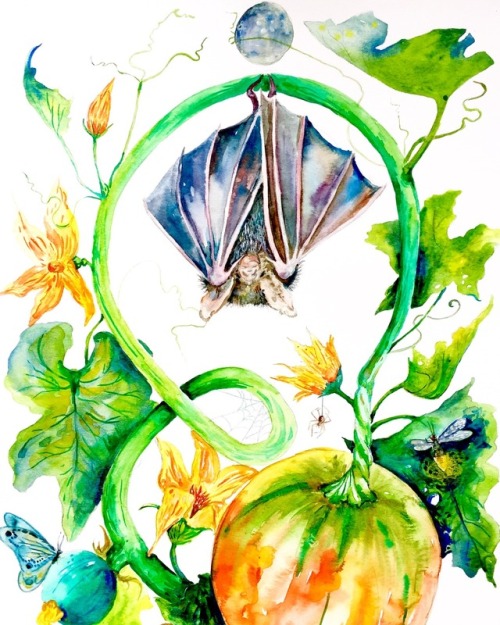 kristinacloss:Bat, Moon, Pumpkin in watercolor