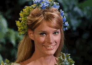 broccoleafveins:Flower crown appreciation: The Gnome-Mobile (1967)