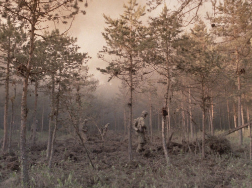 lyingfigure: liinza: Come and See, Elem Klimov, 1985 now THIS is a horror movie 