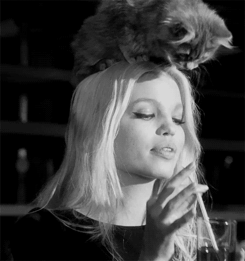 ihaveinspired: Daphne Groeneveld
