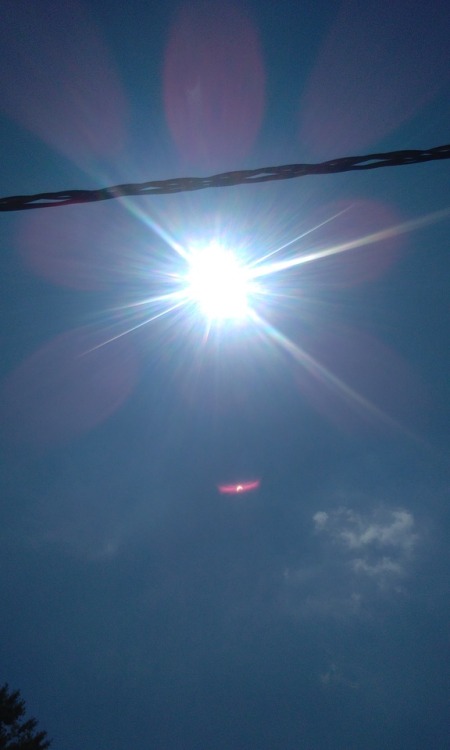 Everyone else had good ones and this is all I got :/(terminallytestified97)that’s actually quite a pretty shot o.o