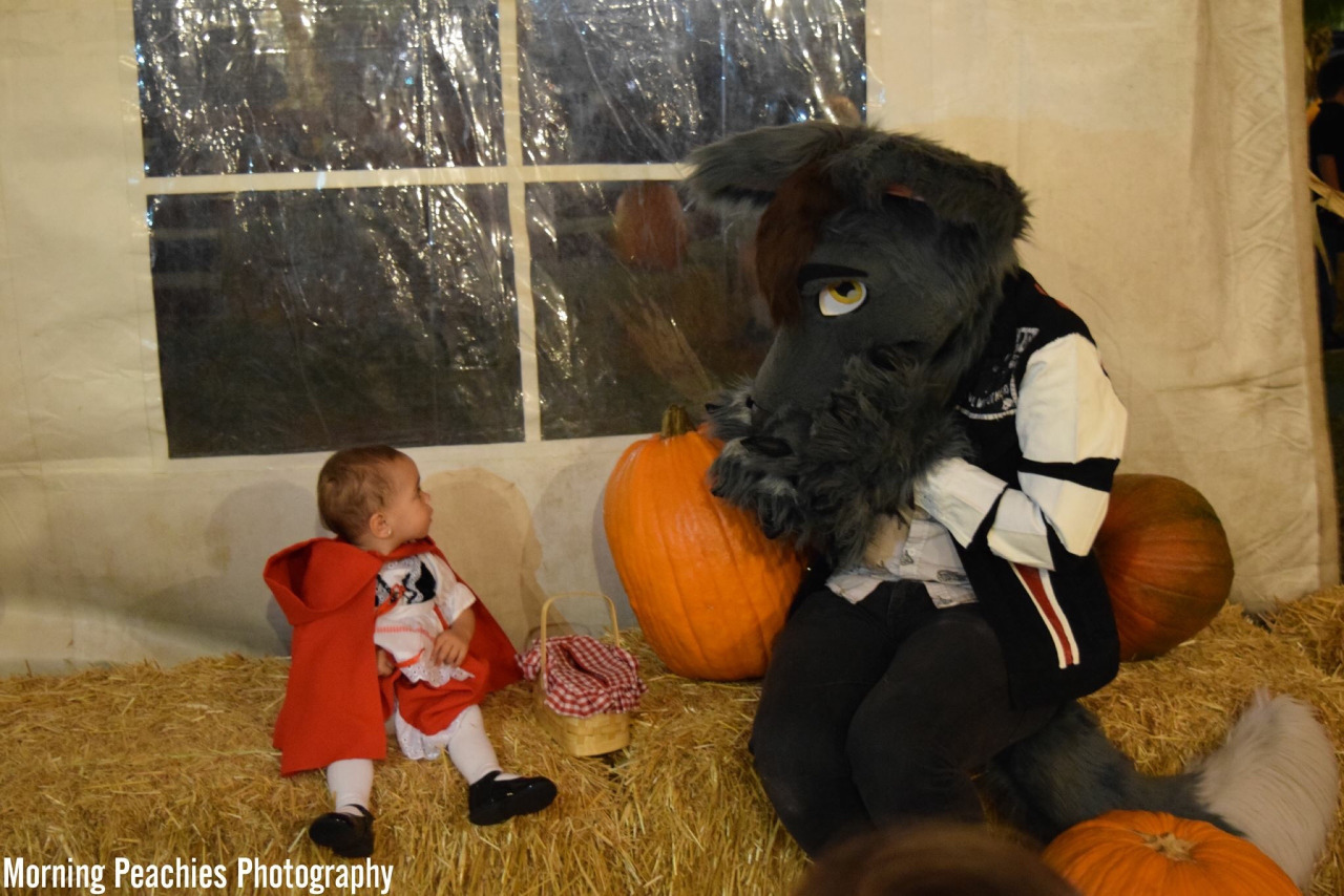 I will defend furries to my grave!