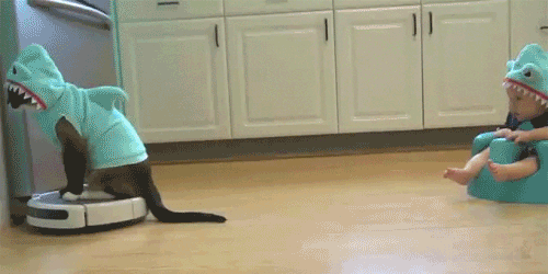 reblog-gif:  Tumblr best Funny Gif Blog — http://gifini.com/ 