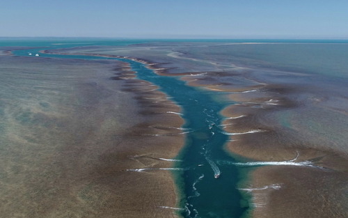 geologicaltravels:2018: Spectacular drone shots of Montgomery reef draining (contribution from Nicol