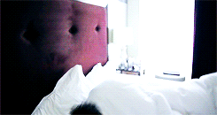 rossgellers:  @zaynmalik: What did the baby chicken say to the mother chicken ? … @zaynmalik: Hi momma ! Aha :D 