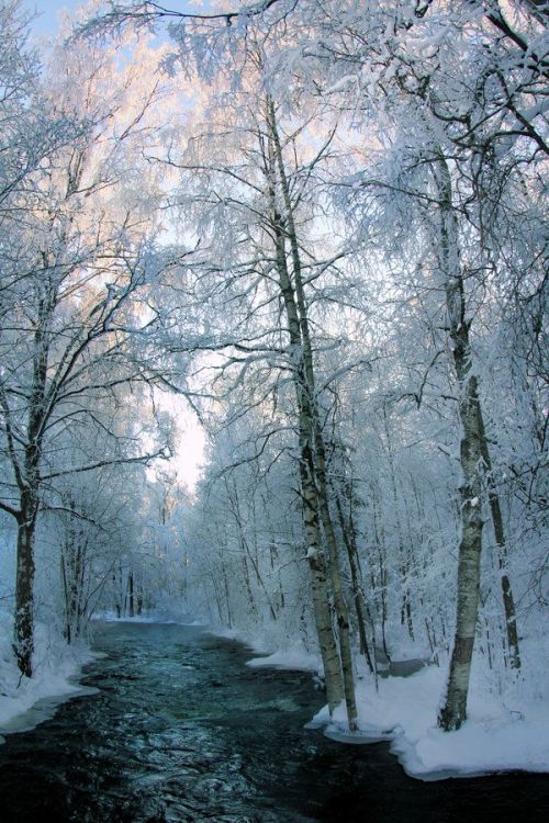 bluepueblo:  Snow River, Finland photo via stardust 
