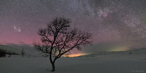 Comet PanSTARRS Meets Andromeda Galaxy in the Starlit Night — P-M Heden