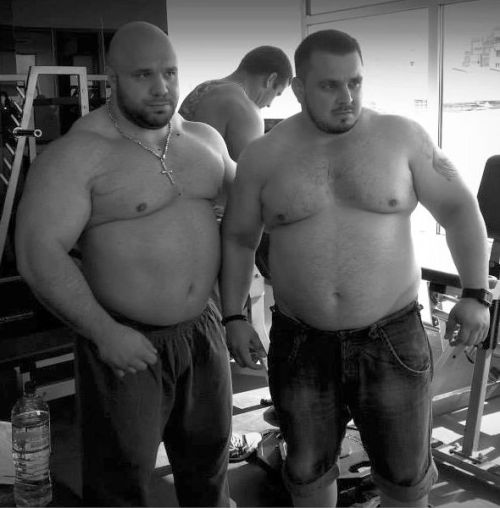 powerbearusa:  justbulls: Thick Bulls 