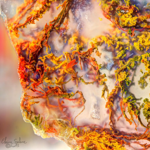 Moss Agate