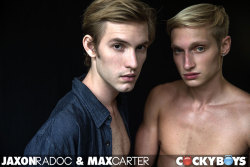 gaypornfrenchy:  Deux jeunes hommes avec de grosses envies.