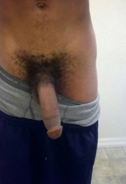 bigblkmeat85.tumblr.com post 52159403773