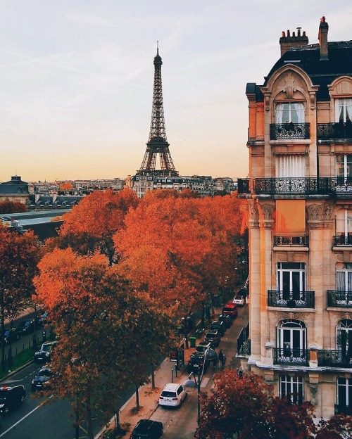 peacefulautumnleaves:autumn in Paris ✨🍁🎃