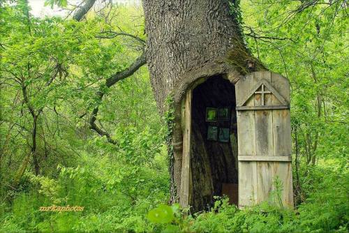 voiceofnature:    Chapel dedicated to the Thunderer Saint St. Pantelija that is built inside of a hollow ancient oak near the village of Jovac, Vladičin Han region, SE Serbia.   