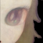 vv-i-t-c-h-doll