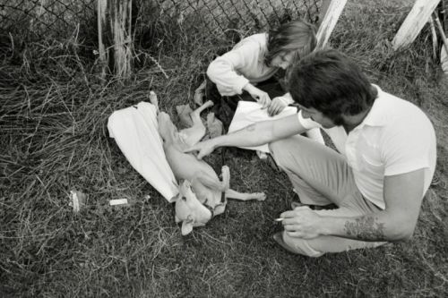 vintageeveryday: Fascinating pictures of the Whippet clubs in Ashington and North Seaton in 1982.