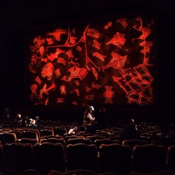 The Lion King Musical  (at The Lion King