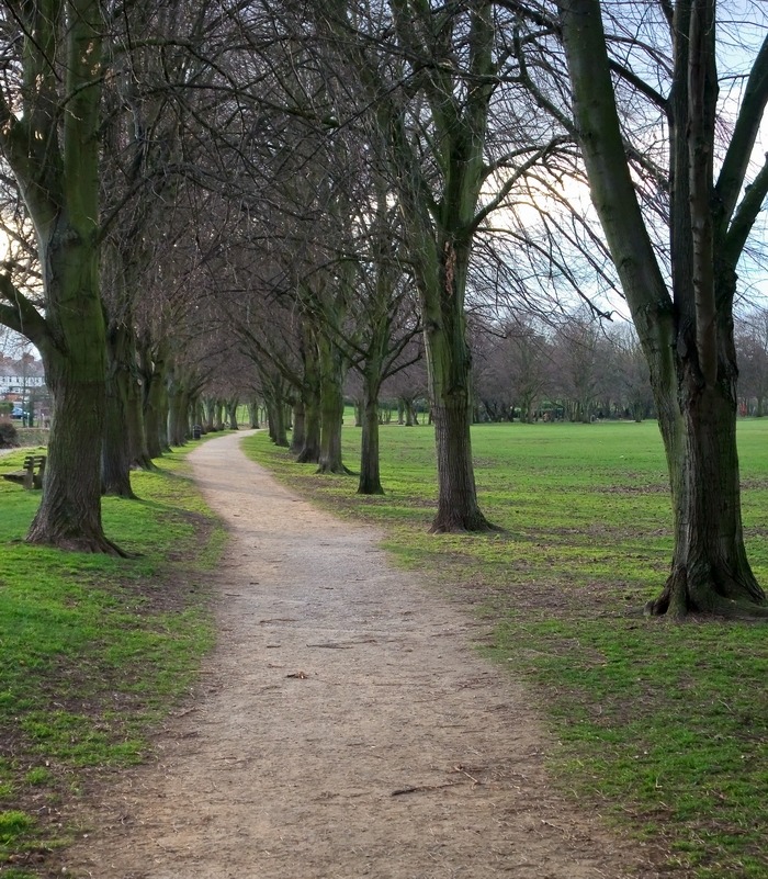 wanderthewood:  A path near the River Avon at Evesham, Worcestershire, England by James-Hetherington