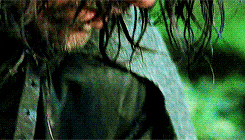 wrathandruin-blog:  lotr + looking down 