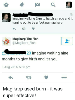 nayan1:  Magikarp used burn - It’s super