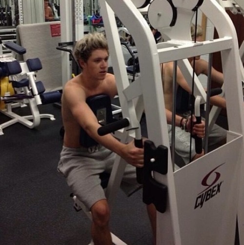 janoskianatordirectionerposts:  I don’t work out he said ,liar ❤ 