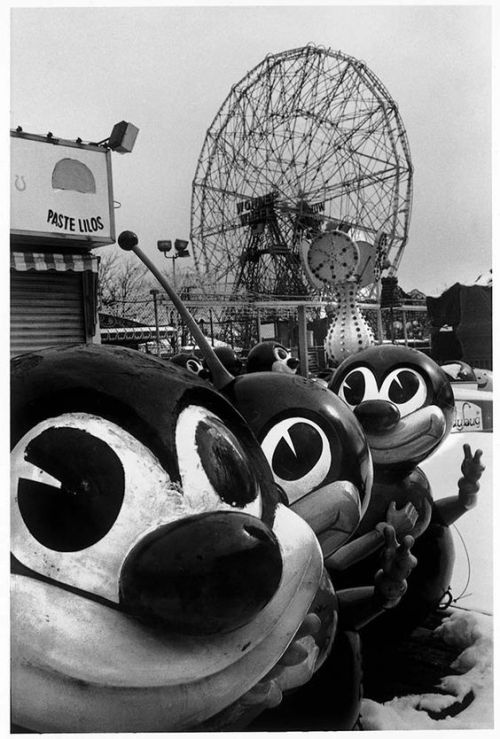 mutant-distraction:“Coney Island 40 Years” by Harvey Stein