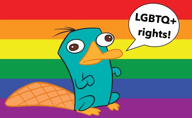 pic Funny Pictures Of Perry The Platypus perry the platypus on tumblr