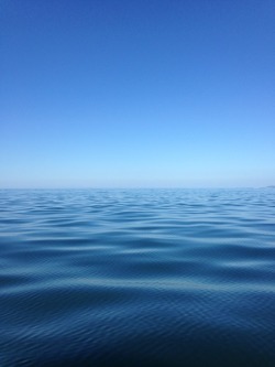 gameandwatch:  futurefantastic:  stopitsgingertime:  today i went on a boat  we’re you sailing on perfect 3d rendered water what the   head out far enough and the water turns surreal it’s awesome 