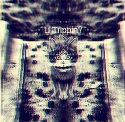 drugsruleeverythingaroundme:  Welcome to your trip! 