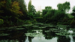 XXX etherea1ity:Monet’s Garden, Giverny, photo