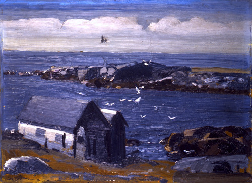 bofransson:  George Bellows - The Gulls, adult photos