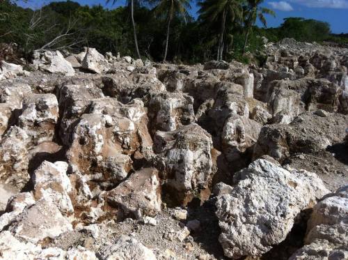 NauruThe once stunning tropical scenery of the small island state of Nauru formerly known as Pleasan