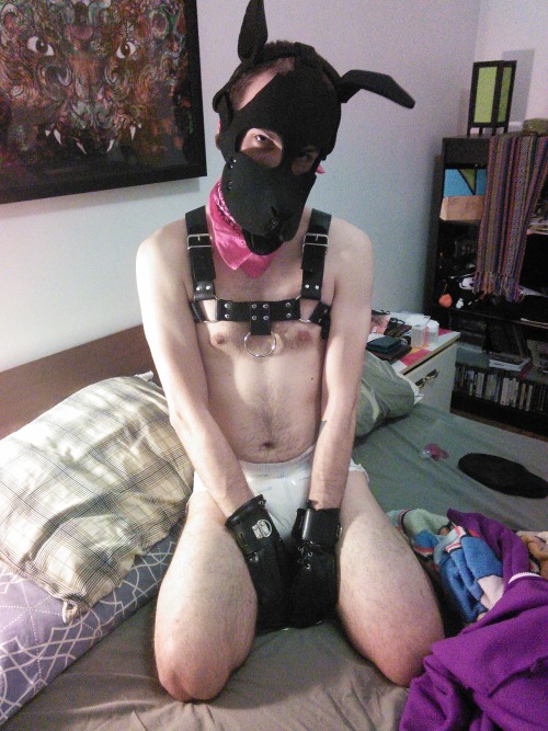 pup-alako:  Playing as a puppy with my boyfriend ^^ 