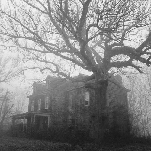 Image via We Heart It #cool #creepy #Halloween #haunted #horror #house #tree - https://weheartit.com/entry/144407407