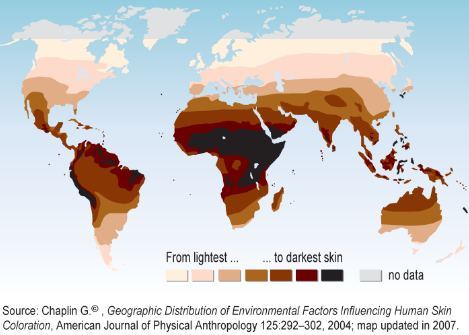 explore-blog:  explore-blog: The twin role played by the skin – protection from excessive UV radiation and absorption of enough sunlight to trigger the production of vitamin D – means that people living in the lower latitudes, close to the Equator,