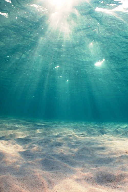 locura-personalizada21:  Actualización Nº 429 | Spitting Essence on We Heart It - http://weheartit.com/entry/85534173 