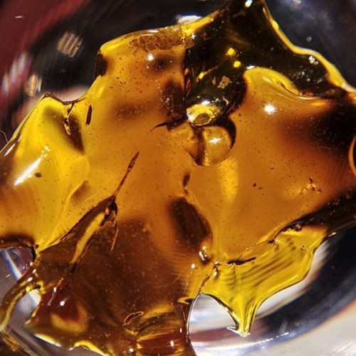 weedporndaily:  @Eelleinad 